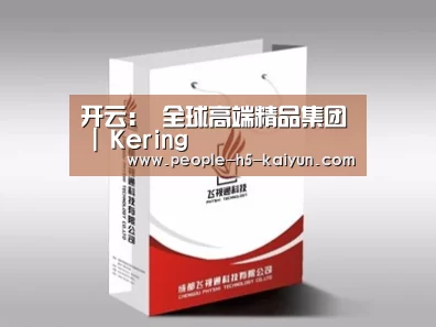 项目名称十三