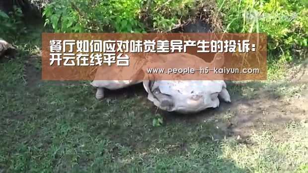 开云官网